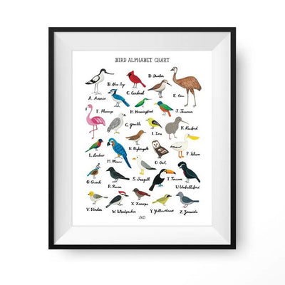 Bird Alphabet Chart Print | Lily Kao Design | boogie + birdie