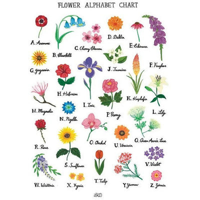 Flower Alphabet Chart Print | Shop LKD at boogie + birdie in Ottawa.