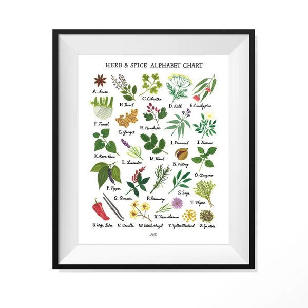 Herb & Spice Alphabet Chart Print
