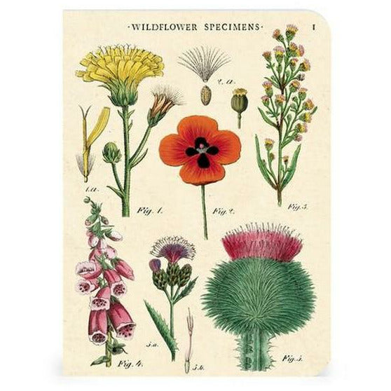 Wildflowers Mini Notebooks Set | Cavallini Paper & Co. | Shop vintage styles and prints at boogie + birdie