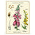 Wildflowers Mini Notebooks Set | Cavallini Paper & Co. | Shop vintage styles and prints at boogie + birdie