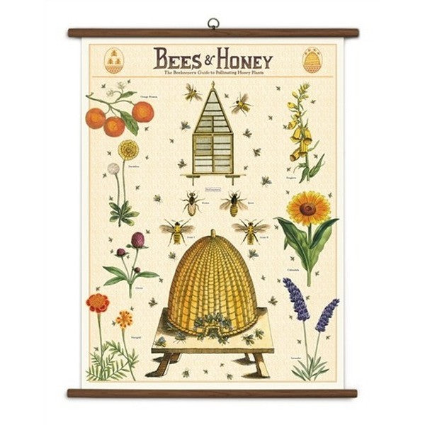 Bees & Honey Vintage Wall Art | Cavallini Paper & Co. | Shop vintage styles and prints at boogie + birdie