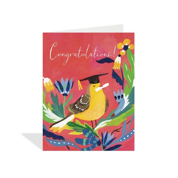 Congratulations Bird Graduation Card | Halfpenny Postage | boogie + birdie