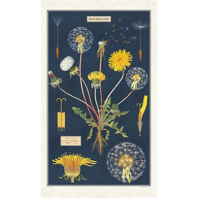 Dandelion Tea Towel | Cavallini Paper & Co. | Shop vintage styles and prints at boogie + birdie