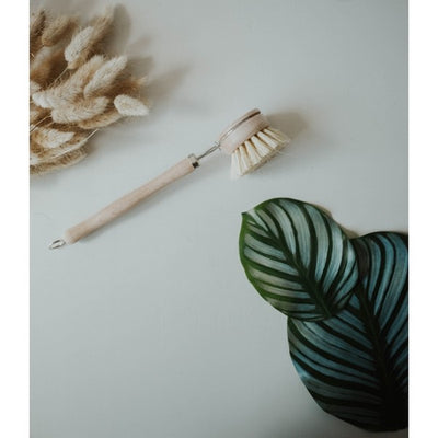 Wooden Dish Brush | Zero Waste Movement | boogie + birdie