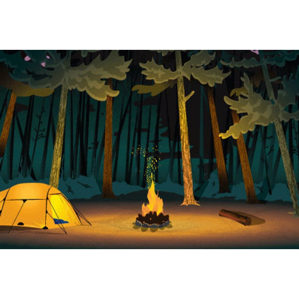 Campfire Print | Damn Fine | boogie + birdie