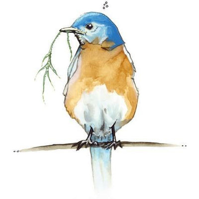 Blue Bird Print | Kelly Dixon | boogie + birdie