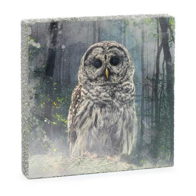 Forest Owl Mini Art Block