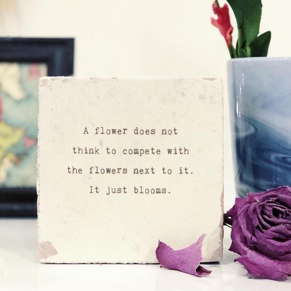 A Flower Does Not Little Gem
