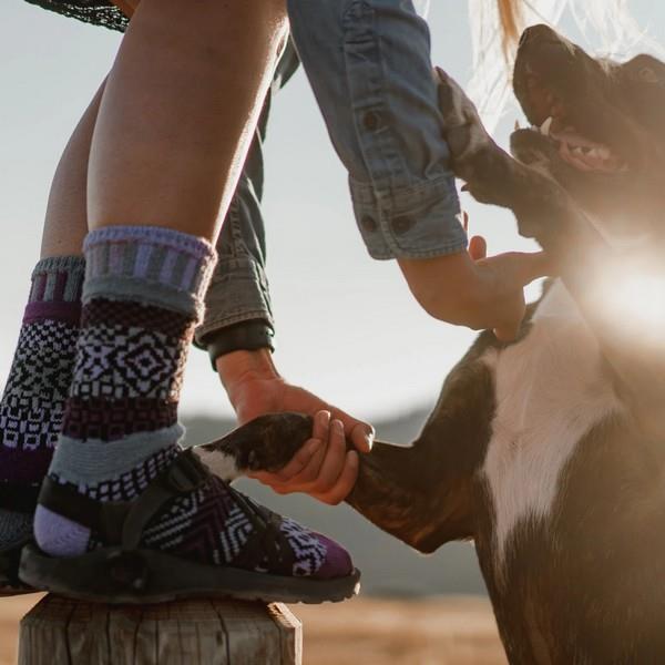 Wisteria Solmate Socks | boogie + birdie