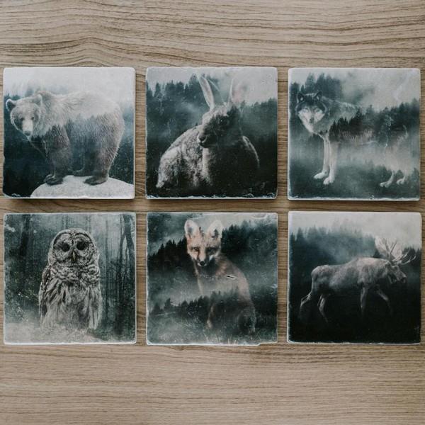Forest Owl Marble Coaster