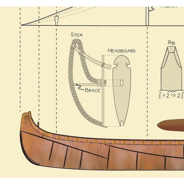 Algonquin Canoe Print