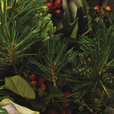 Les Saisons Douglas Pine Votive Candle | Lucia | N. 25| boogie + birdie