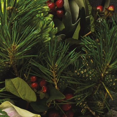 Les Saisons Douglas Pine Match Jar | Lucia | boogie + birdie