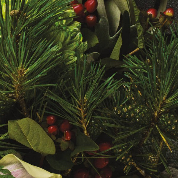 Les Saisons Douglas Pine Candle | Lucia | N. 25 | boogie + birdie