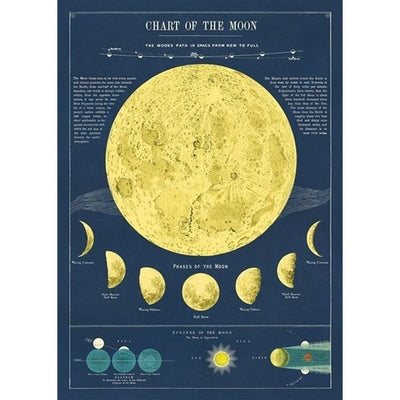 Moon Chart Wrap Sheet / Poster | Cavallini Paper & Co. | Shop vintage styles and prints at boogie + birdie
