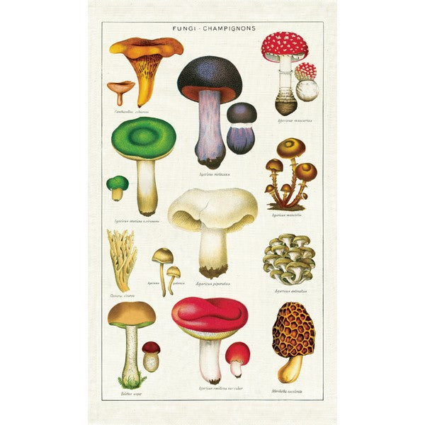 Mushrooms Tea Towel | Cavallini Paper & Co. | Shop vintage styles and prints at boogie + birdie