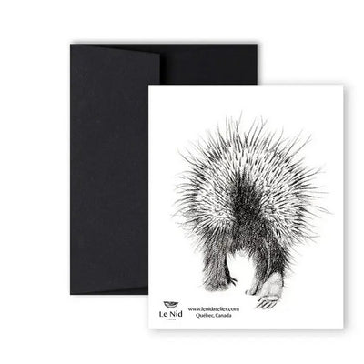 Porcupine Card | Shop cards at boogie + birdie in Ottawa.