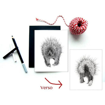 Porcupine Card | Shop cards at boogie + birdie in Ottawa.