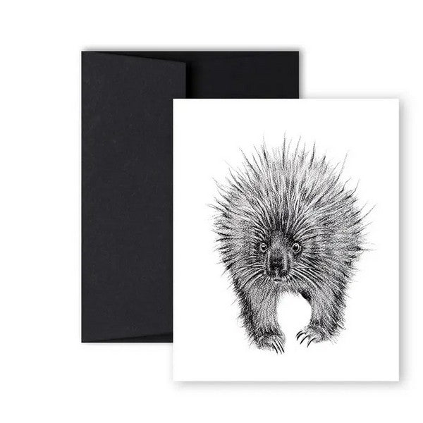 Porcupine Card | Shop cards at boogie + birdie in Ottawa.