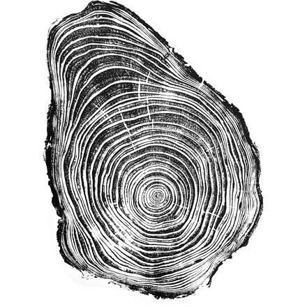 Pine Tree Ring Framed Art Print | Na Coille Studio | boogie + birdie