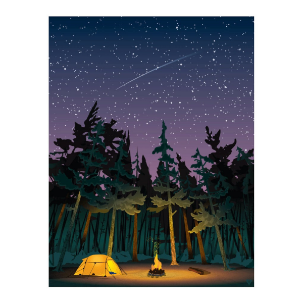 Campfire Print | Damn Fine | boogie + birdie