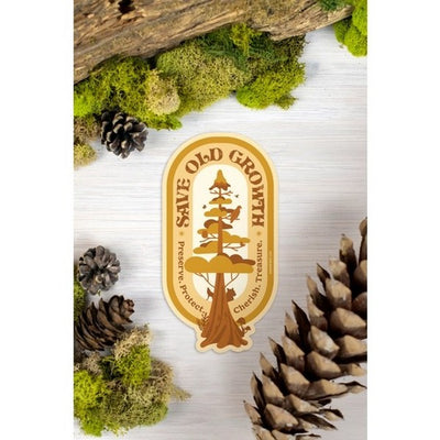 Save Old Growth Trees Sticker | Shop stickers at boogie + birdie in Ottawa.