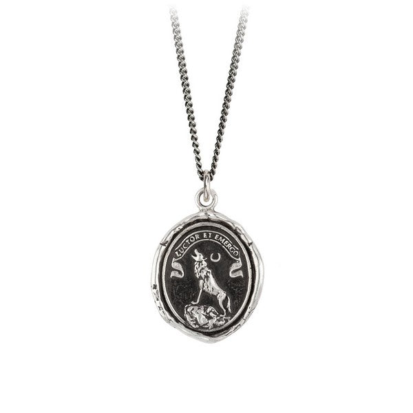 Silver Struggle & Emerge Talisman Necklace