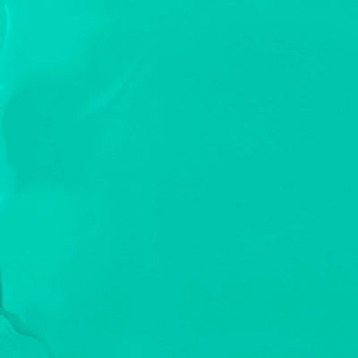 Tampa BKIND Nail Polish | BKIND | boogie + birdie