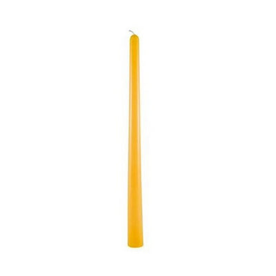 Natural 12" Taper Beeswax Candle | Honey Candles | boogie + birdie