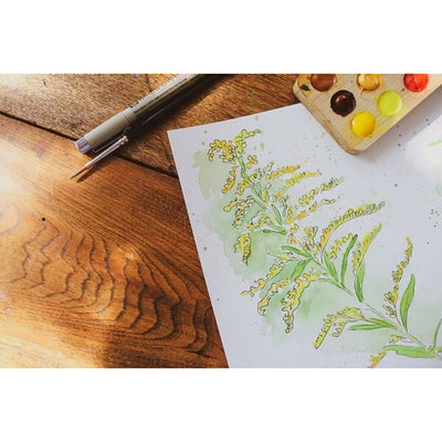 Wildflowers Print | Heirloom Island | boogie + birdie